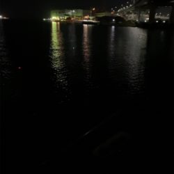 太刀魚狙うも。。