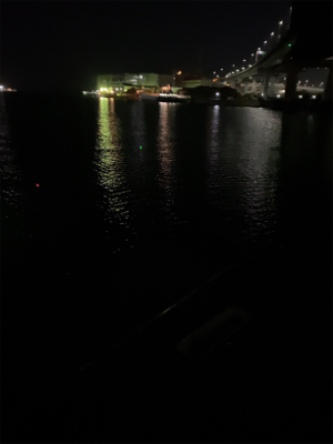 太刀魚狙うも。。