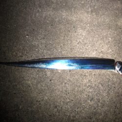 今日は連れら数人と…