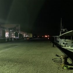 アジ、ヒイカ⑤