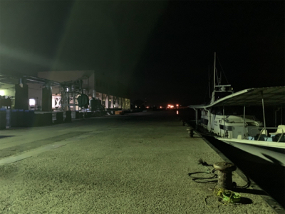 アジ、ヒイカ⑤