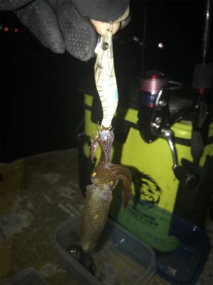 寒い中でのヒイカ釣りσ(^_^;)
