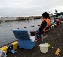 子供とサビキ（親はアジング）