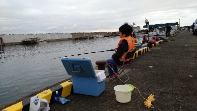 子供とサビキ（親はアジング）