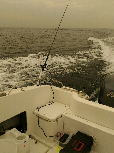 スーパーでなかなか見かけない魚