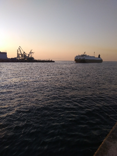 まさかのメジロ