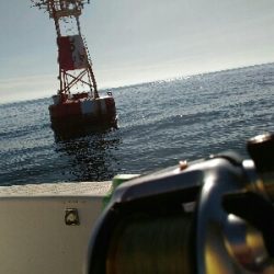 明石沖にて（今年4回目）