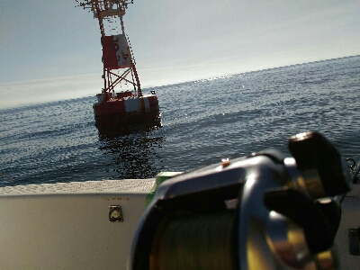 明石沖にて（今年4回目）