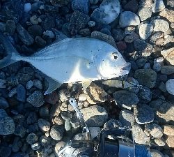 仁淀川河口サーフ、ライトショアジギング