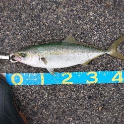 激渋の中、なんとか