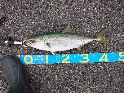 激渋の中、なんとか