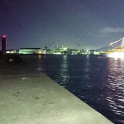 今シーズン最悪の釣果