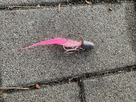 今シーズン最悪の釣果