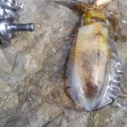 厳しさは変わらず？