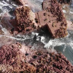 潮位めっちゃ低い？