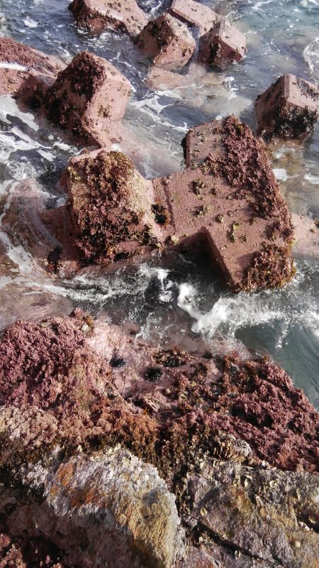 潮位めっちゃ低い？