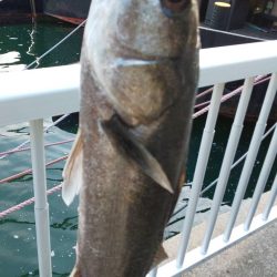 10月ラスト釣行 ~さざなみ公園~