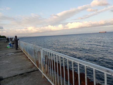 一瞬の時合いの釣果