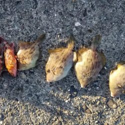 ハギングっていうのかな?