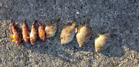 ハギングっていうのかな?