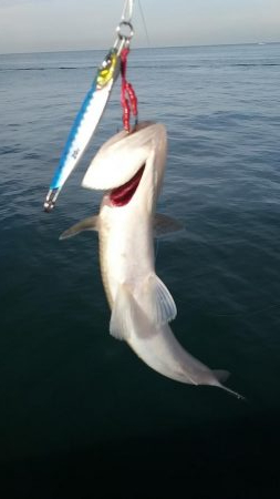 岸一　不完全燃焼