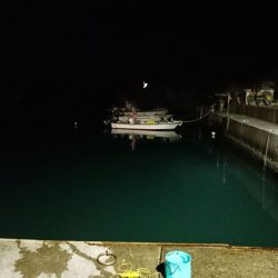 貧果ながらも嬉しい一匹