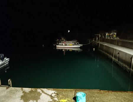 貧果ながらも嬉しい一匹