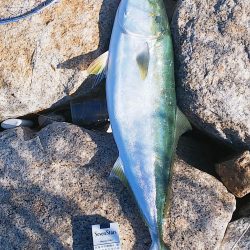 念願成就( ✧Д✧)ｶｯ!!