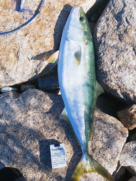 念願成就( ✧Д✧)ｶｯ!!