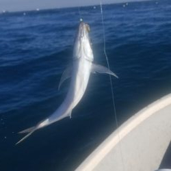 手漕ぎボートで