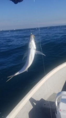 手漕ぎボートで