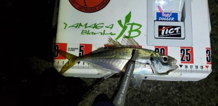 もういないのかな