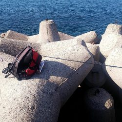 青物活性低い？