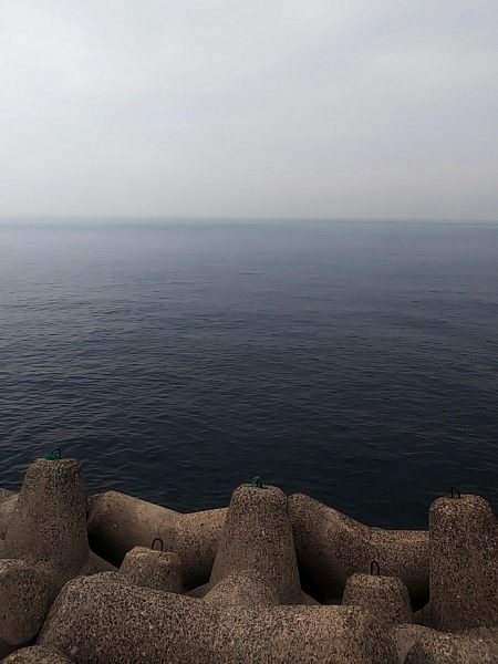 アジを餌にして