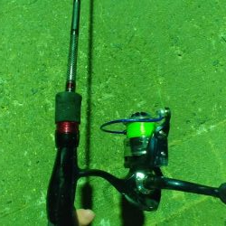 初めてのアジング