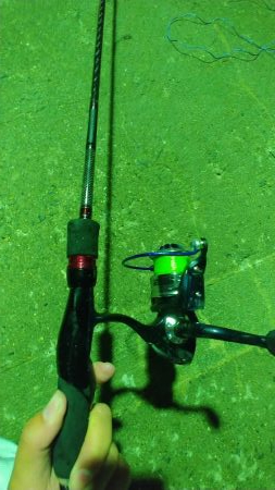 初めてのアジング