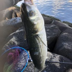 フカセ釣りプラクティス