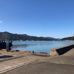 ちびヒイラギ祭り