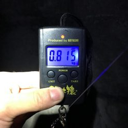 連日の日課エギング