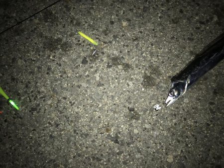 今年初の二けた