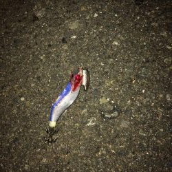 ヒイカ2 激シブ