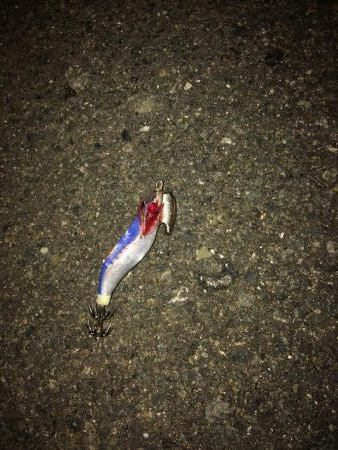 ヒイカ2 激シブ