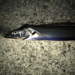 アタリが遠い。