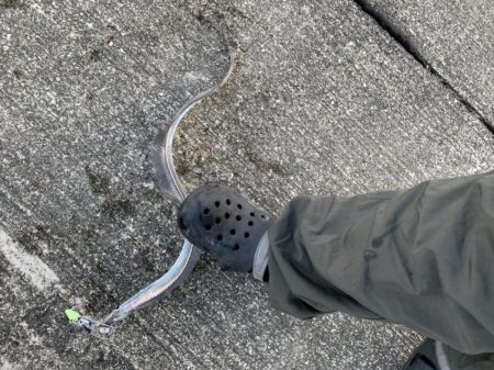 昨日のリベンジ