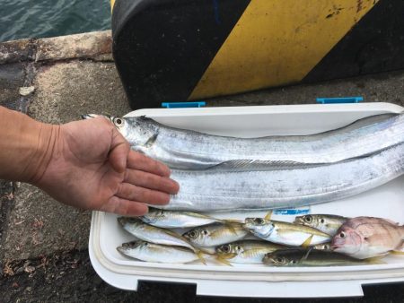 エサ釣りが渋い時はテンヤ 太刀魚