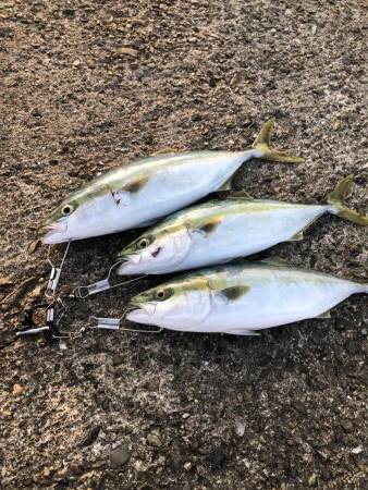 5バイト、3キャッチ