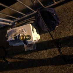 久しぶりの大漁でした。