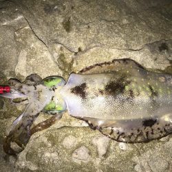 スーパーシャロー