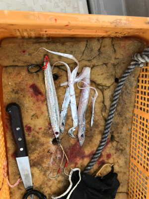 今年初太刀パターン