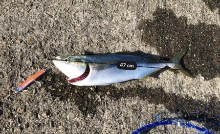 昼間からのスタート